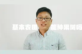 基本农田不可以种树，但是能种果树吗？如果种了怎么处理视频封面