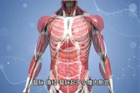 中医入门│针灸必背歌诀视频封面