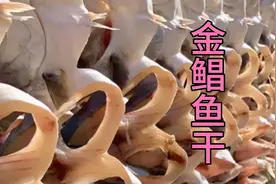 金鲳鱼，金鲳鱼干的制作方法。视频封面