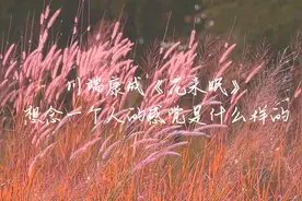 川端康成《花未眠》：想念一个人的感觉是什么样的视频封面