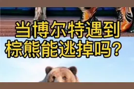 当博尔特遇到棕熊，人类能跑的过吗？