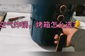 空气炸锅  和烤箱，到底那个好，今天刚买回来空气炸锅做下实验视频封面