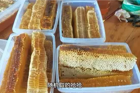 蜂巢蜜嫩的好还是老的好？教你如何挑选好的蜂巢蜜视频封面