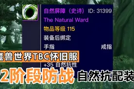 魔兽世界TBC怀旧服：P2阶段防战自然抗配装，助你开荒一臂之力视频封面