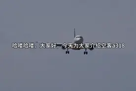 空客a318介绍：今天有一架东航的737坠落了视频封面