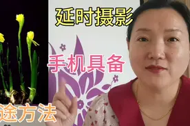 小草发芽至开花的过程，原来是手机的延时拍摄，方法简单人人都会