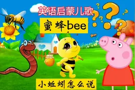 亲子早教儿歌：蜜蜂是bee！英语启蒙，认识有趣的小昆虫英语单词