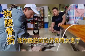 小伙骑行第88天，狗腿骨折去益阳市宠物医院，大耳看病贵的离谱视频封面