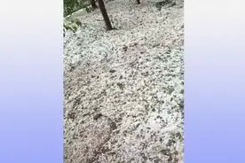 520烟台多地下起冰雹，今天这个日子发誓的人太多了，龙王坐不住视频封面