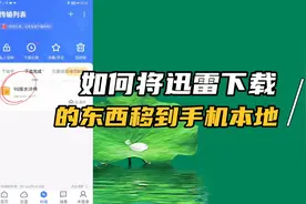 经验分享：如何将迅雷（手机版）下载的东西保存到手机本地来。