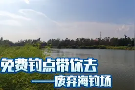 「东莞长安」经常有朋友问我要钓点，今天忍痛割爱告诉你们怎么走视频封面