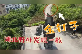 1.5米长金钉子竟钉在湖北野外，全中国仅11枚，太神奇太罕见了