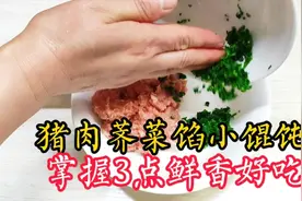 猪肉荠菜馅小馄饨怎么做？原来调馅有方法，掌握3点才鲜香好吃！视频封面