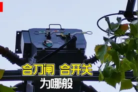 10千伏线路合刀闸、合开关操作，为哪般？调度专业术语现场讲解视频封面