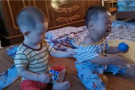 两个萌娃抢东西搞笑打架笑死人不偿命视频封面