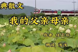 美文欣赏《我的父亲母亲》作者任正非，再忙也要常回家看看父母亲视频封面