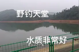来到惠州一个水库，环境水质非常好，自己钓不到鱼，买了一条大鲤视频封面