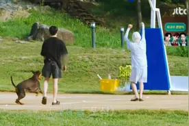 正泰 田柾国 金泰亨 新婚日记升级为蜜月之旅 两人一狗日常的幸福视频封面