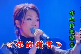 一首伤感情歌《你的谎言》优美的歌声如痴如醉 ，听了都喜欢！视频封面