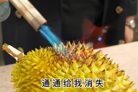 打假水果天花板，榴莲中的 猫山王搜 ，水分深坑我揭秘视频封面