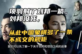 项羽射了刘邦一箭，刘邦没死，从此中国象棋多了一条不成文的规矩视频封面