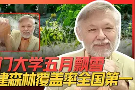 福建最赚钱的产业来自森林？老潘：福建千年前就已闻名海外！视频封面