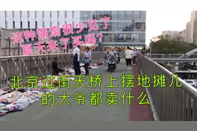 北京过街天桥上摆摊的大爷都卖什么视频封面