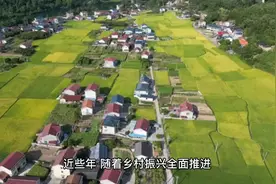 2023年村干部最新工资表公布，村主任和村书记每个月多少钱？