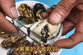 生蚝哪儿不能吃呢 黑黑的部分 有人不吃视频封面