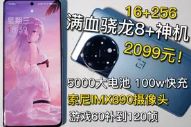 2099满血8+！16+256大内存，索尼IMX890，一加ACE2测评视频封面