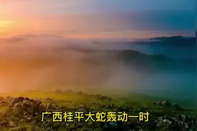 广西桂平大蛇轰动一时，是谣言还是真事视频封面