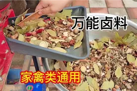 26种香料组合的烧鸡熏鸡料，香飘四溢，口齿留香，真实配方视频封面