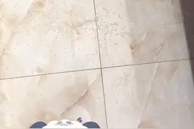 大米撒了一地，正趴地上捡着吃，难道饿着他了？