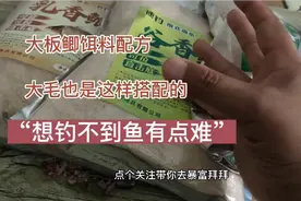 大板鲫饵料配方，大毛钓鲫鱼鲤鱼也是这样搭配的，想钓不到鱼都难视频封面