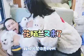 小伙房车旅行因为长得太帅，粉丝赖在房车里不肯走视频封面