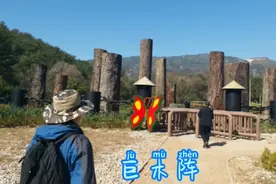 石家庄平山民族风情园之巨木阵视频封面