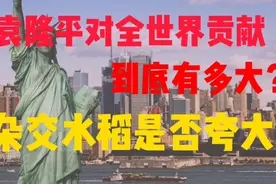 袁隆平对全世界贡献多大？为什么说杂交水稻难吃，成就是否夸大？视频封面