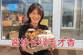 30斤黄豆酱块发酵两个月，长满绿毛，东北老妈洗净撒10斤盐下大酱