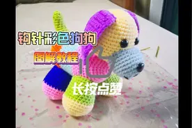 颜值超高的钩针彩色小狗玩偶图解～图文教程+视频指导更容易学会视频封面