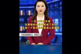 永久的离婚协议书视频封面
