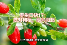 养生口诀17：吃对枸杞，阴兴阳起视频封面