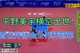 平野美宇4：0郑怡静霸气夺冠，创世界杯史上最年轻单打冠军记录视频封面