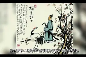 很多人都不知道成语【梅妻鹤子】由来及其故事，它是怎么样的呢视频封面