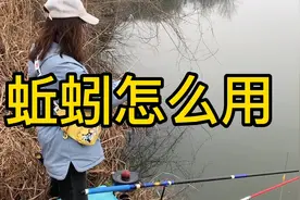 蚯蚓怎么用？您是这样用蚯蚓的吗？这样用蚯蚓既不浪费又好用视频封面