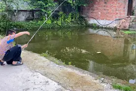 几岁的小孩在自家鱼塘钓鱼，钓到大鱼反应太搞笑，看到鱼后都笑了视频封面