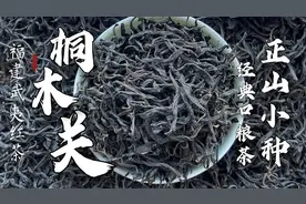 经典口粮茶推荐，福建武夷桐木关3月春茶正山小种蜜香型红茶。视频封面