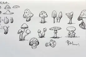 曹剑速写教程，手绘蘑菇的11种画法，菌类植物线稿视频封面