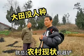 村里几块田没人种，小周：老一辈干不动了，我们这代种地不如打工视频封面