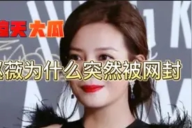 揭秘赵薇黑历史:南京辱华、股市割韭菜,傍马云,如今疑似被封杀视频封面