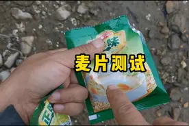 钓鱼用麦片添加到饵料或者窝料中，会有神奇的效果吗？视频封面
